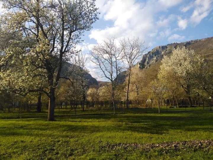 Family Apartman Szadelo - Zadiel Dış mekan fotoğraf