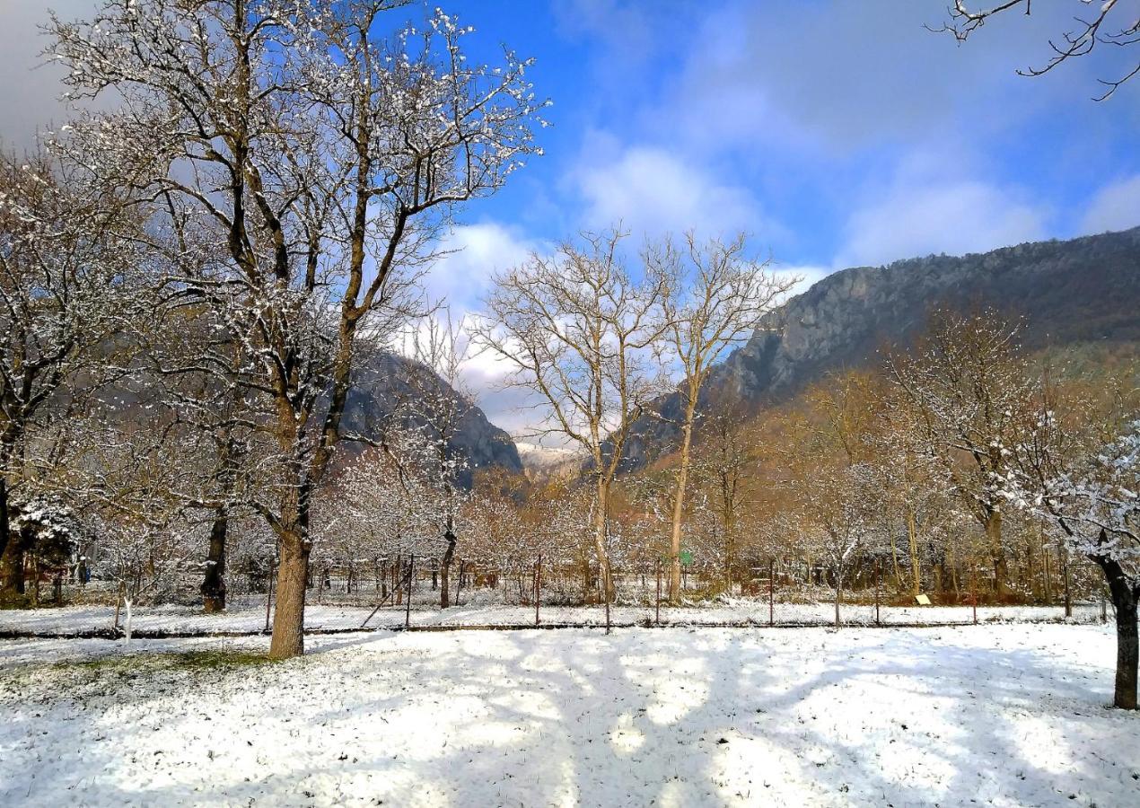 Family Apartman Szadelo - Zadiel Dış mekan fotoğraf